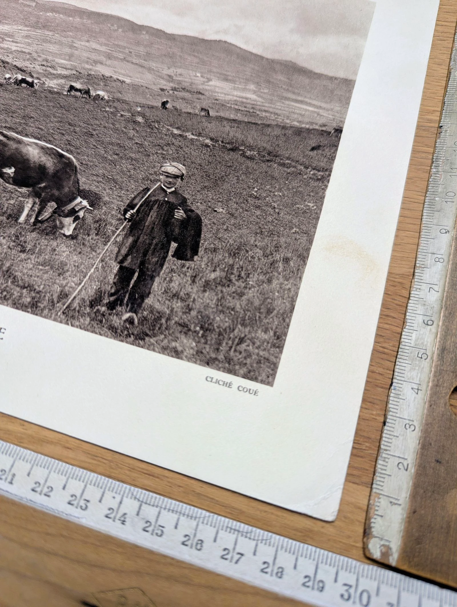 Colina de la Perche, Pirineus-Orientais, placa fotográfica impressa em 1937. – photo 8